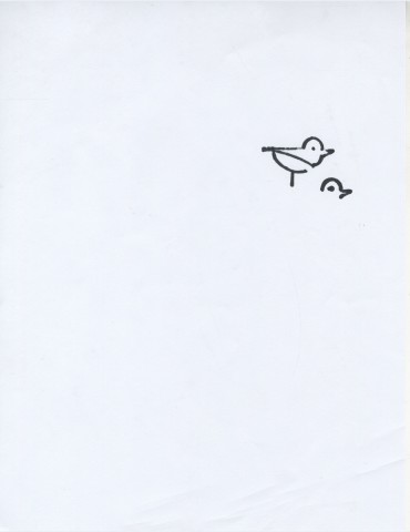 Meghan Chin's Bird Drawing